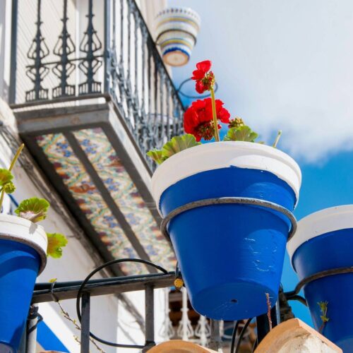 Rośliny we wnętrzach w 2026. Jakie trendy zdominują nasze domy?