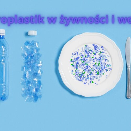 Mikroplastik w żywności i wodzie — skąd się bierze i jak ograniczyć kontakt z nim?
