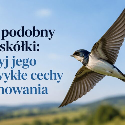 Ptak podobny do jaskółki: odkryj jego niezwykłe cechy i zachowania